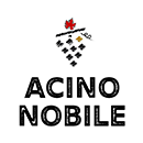 Acino Nobile Logo