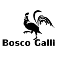 Logo di Bosco Galli