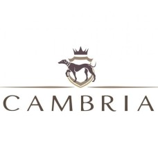 Logo di Cambria Vini