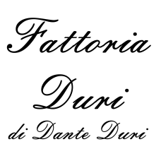 Logo di Cantina fattoria Duri