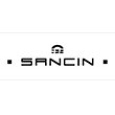 Logo di Sancin