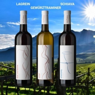 Bottiglia di Box 3 Vini dal Lago di Caldaro - Alto Adige