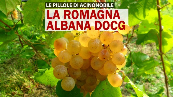 La Romagna Albana DOCG