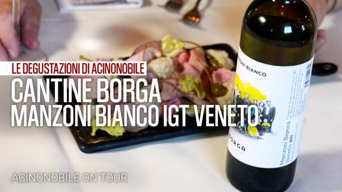 Cantine Borga | Manzoni Bianco IGT Veneto