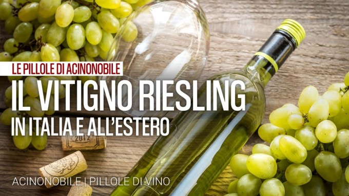 Il vitigno Riesling in Italia e all'estero