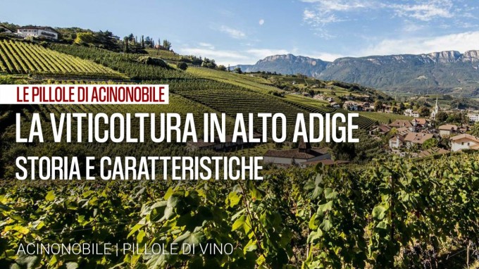 La viticoltura in Alto Adige