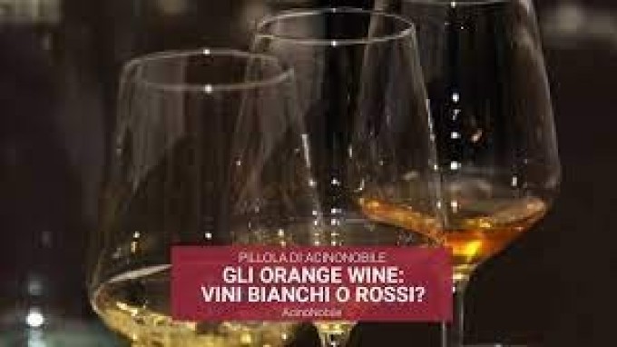 Cosa sono gli orange wine?