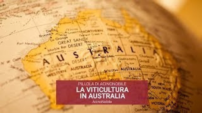 L'Australia e il Vino